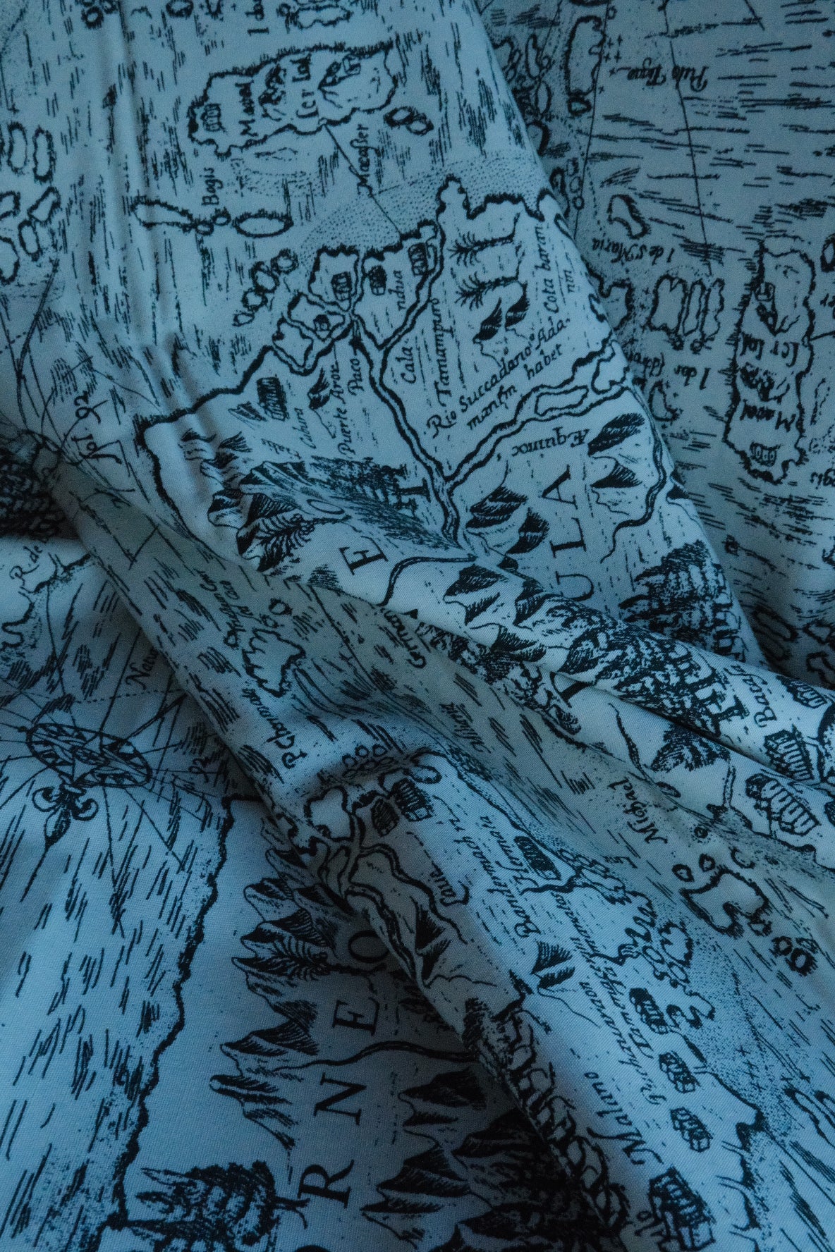 Cotton - Borneo Imprint Old Map by Katarina Roccella from Boscage Collection | by Art Gallery Fabrics