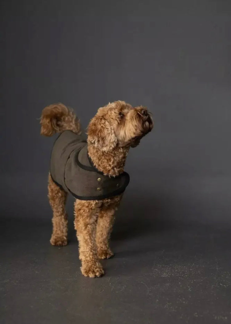 The Barka Dog Coat Pattern