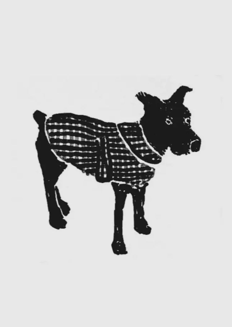The Barka Dog Coat Pattern