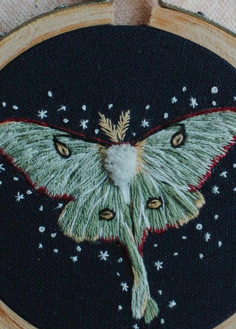 Luna Moth Embroidery Kit