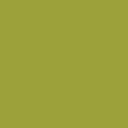Cotton - Parrot - Pure Solids by AGF